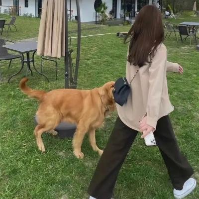 节食与长寿